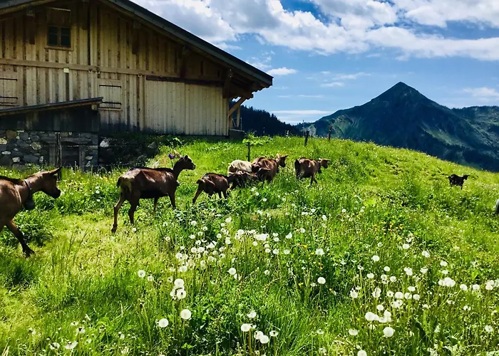 Chalet Marmotte 3