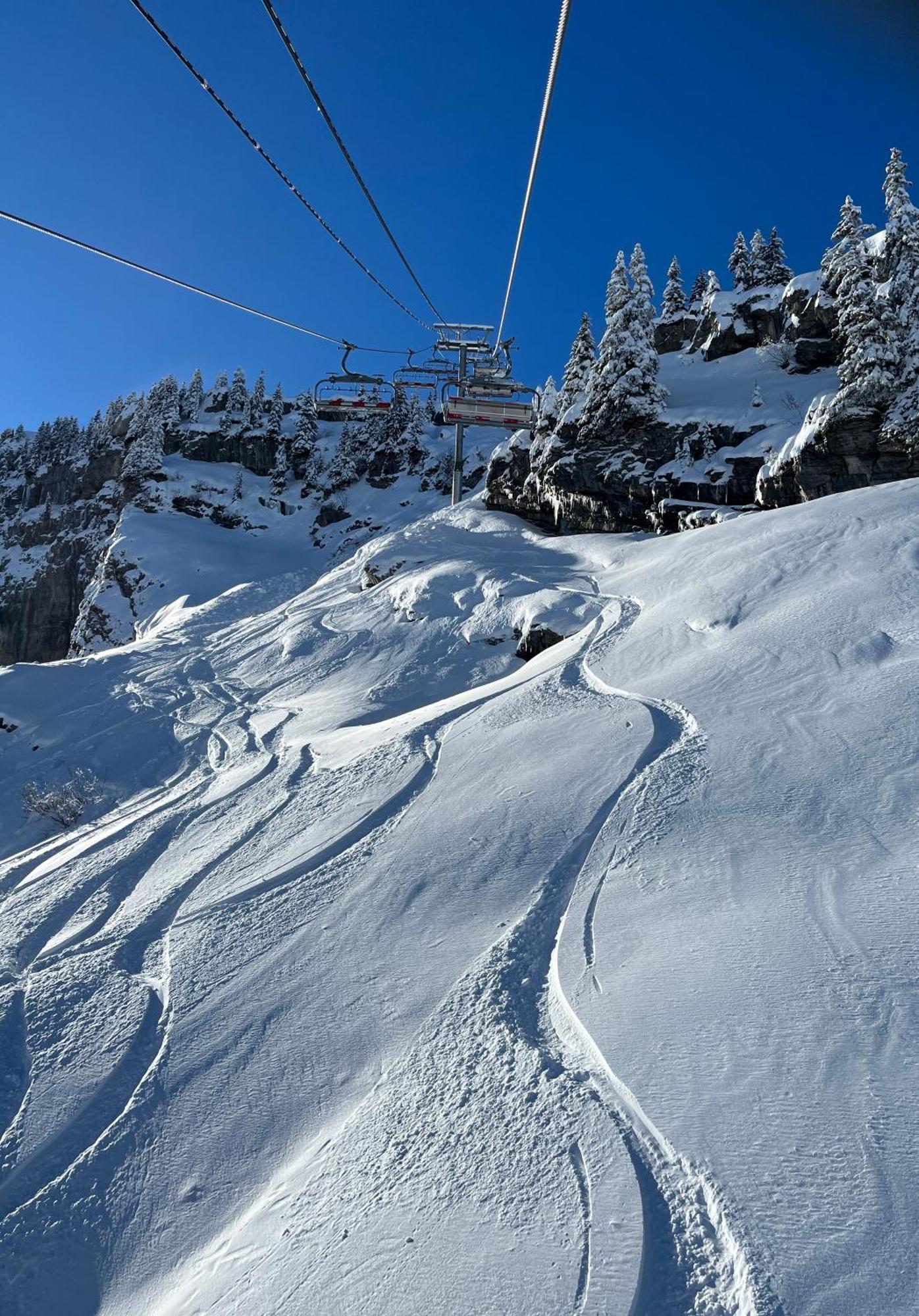 Marmotte 3 *