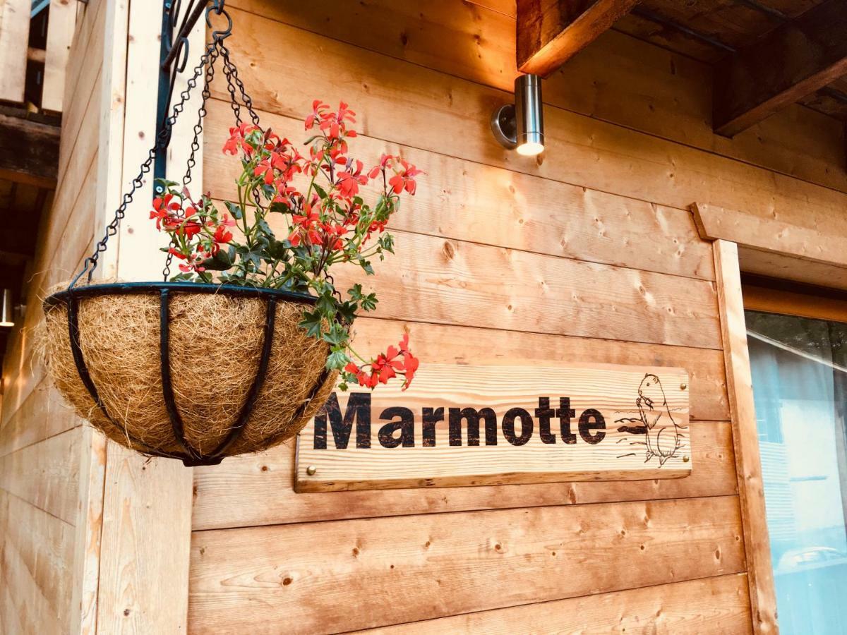 Marmotte 3 Apartment *