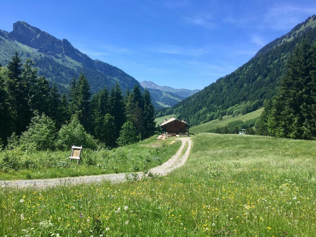 Marmotte 3 * Morzine